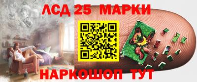 спиды Дубна