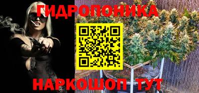 спиды Дубна