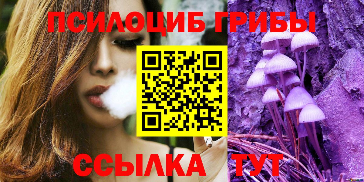 Галлюциногенные грибы Psilocybe Буйнакск