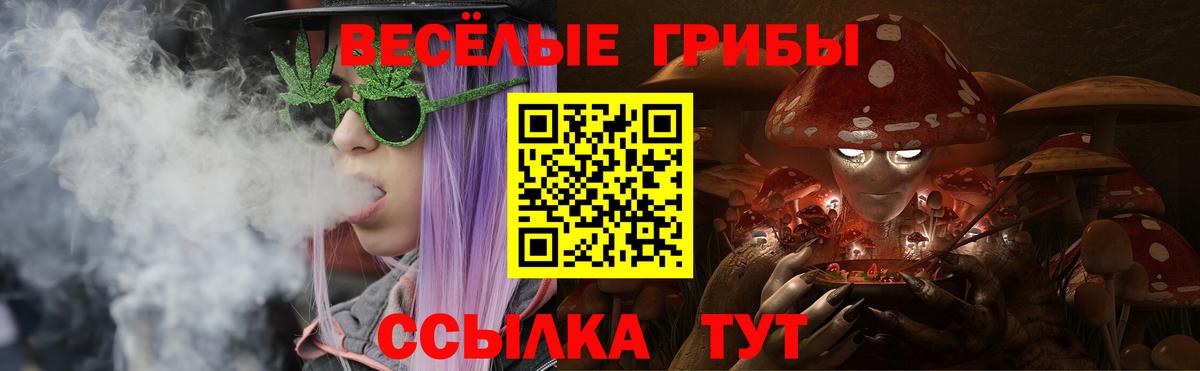 Галлюциногенные грибы Psilocybe  Вход с VPN  Буйнакск 