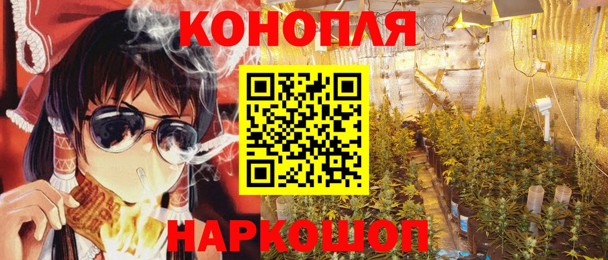 Шишки марихуана OG Kush  Вход с VPN  Бошки Шишки White Widow  Марихуана гибрид  Буйнакск 